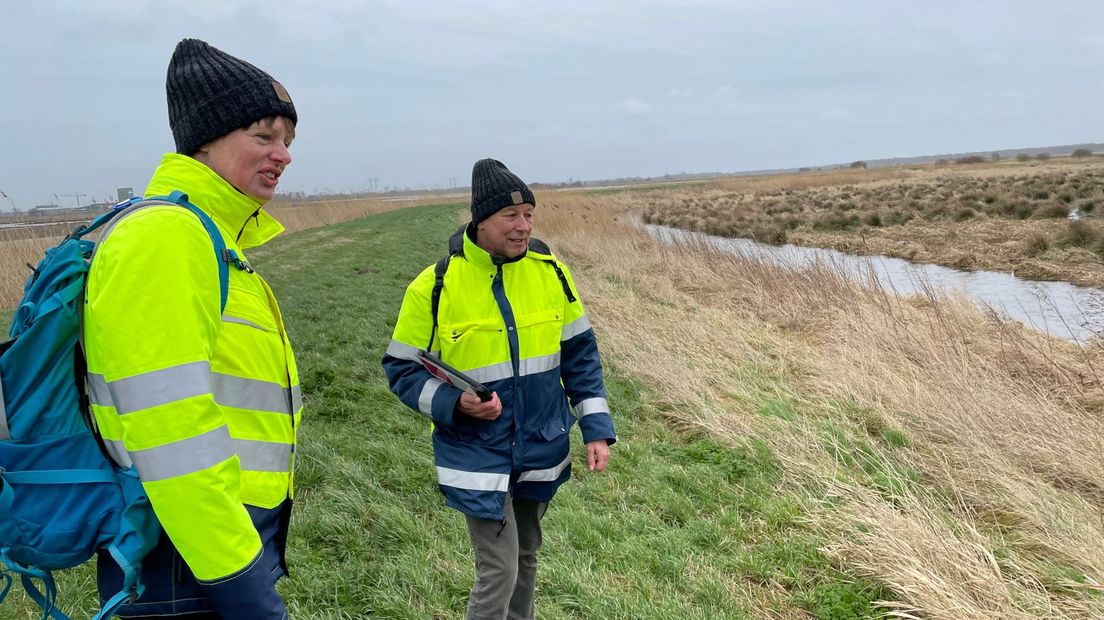 Waterschap Hunze en Aa's houdt een extra dijkinspectie bij het Drentsche Diep