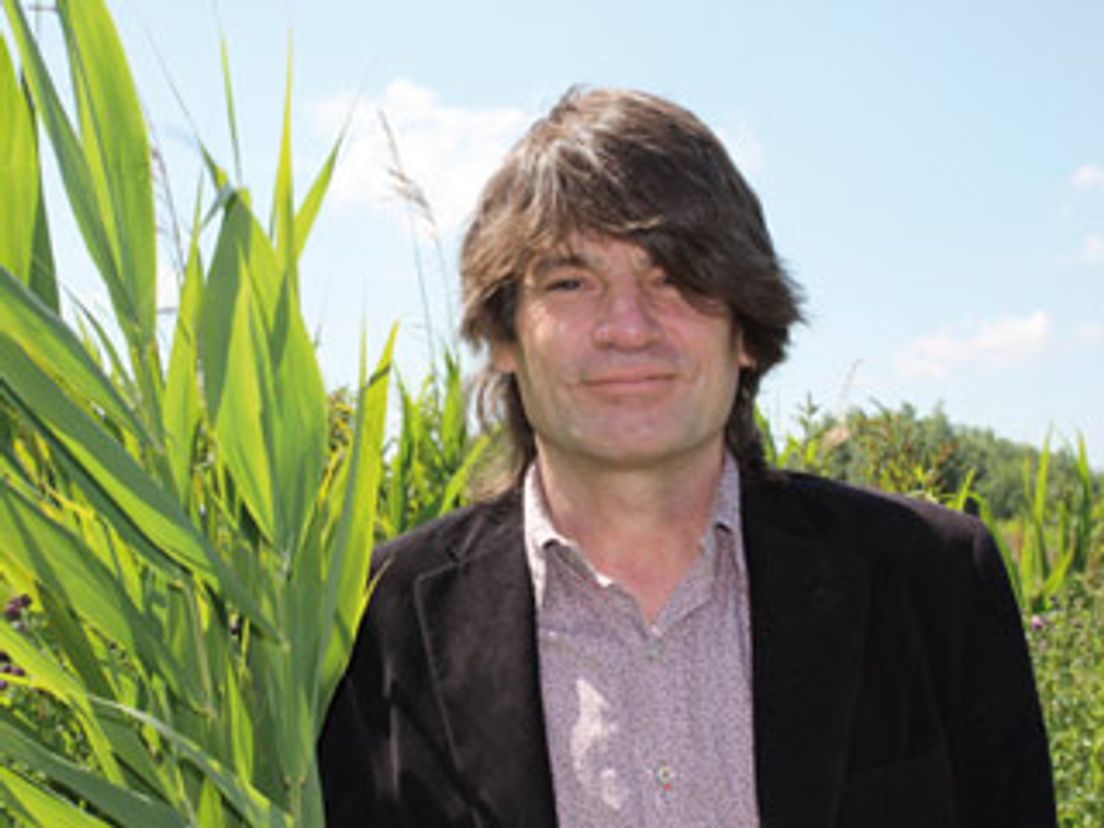 Pim Wiersinga