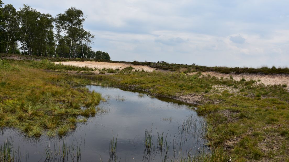 De Houtbeek Bron: Gert Groenevelt