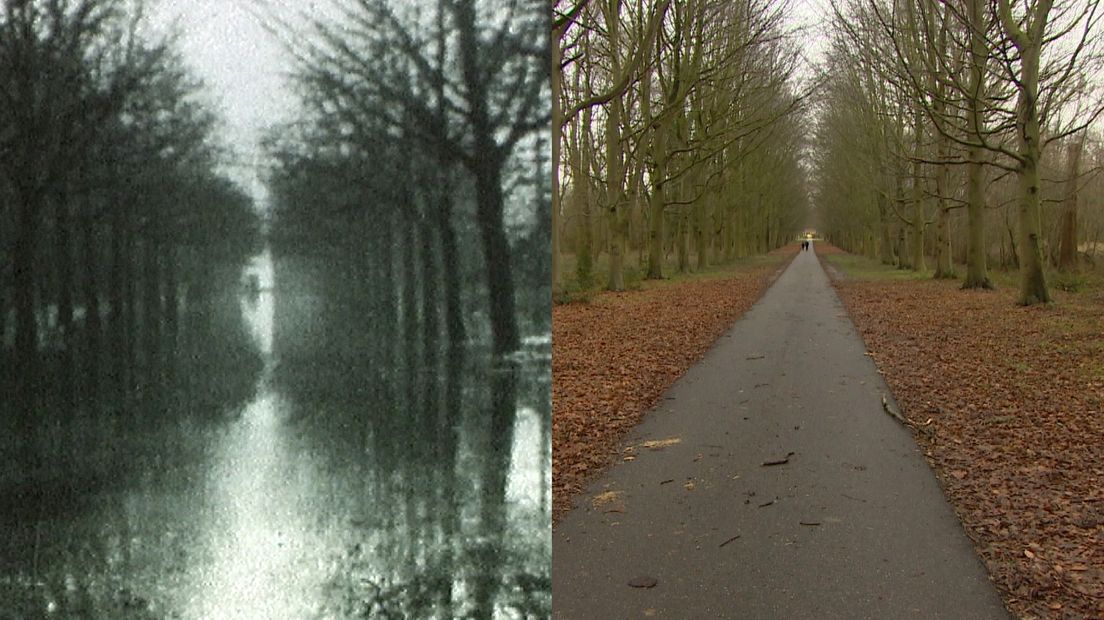 Slotlaan Renesse 1953 - Slotlaan Renesse 2018