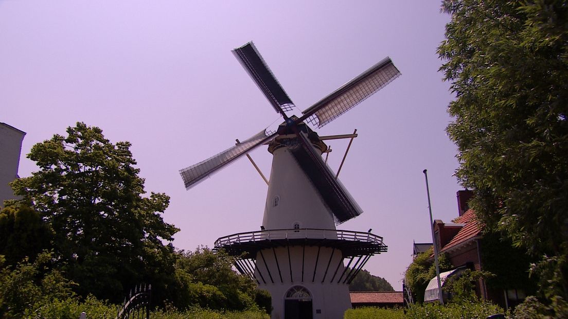 'Meer jongeren nodig om de Zeeuwse molens draaiend te houden'