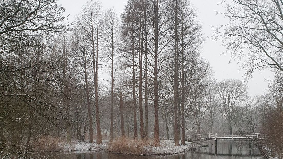 Mooi meegenomen bij een 'heerlijke wandeling'