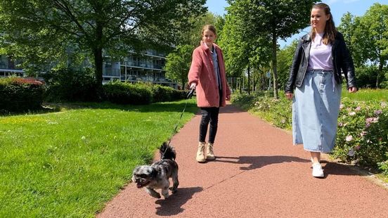 Hondje eet worst met punaise: 'Hij moet aan de riem'