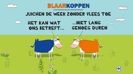 Blaarkoppen gaan op de vegetarische toer