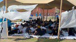 'Nederland stevent af op een ontwrichtende asielcrisis' (update)