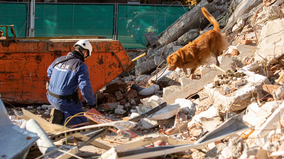 Zoekhonden kammen de puinhopen uit