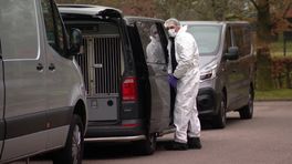 Moordzaak Xavier Durlinger: onderzoek in woning Sittard