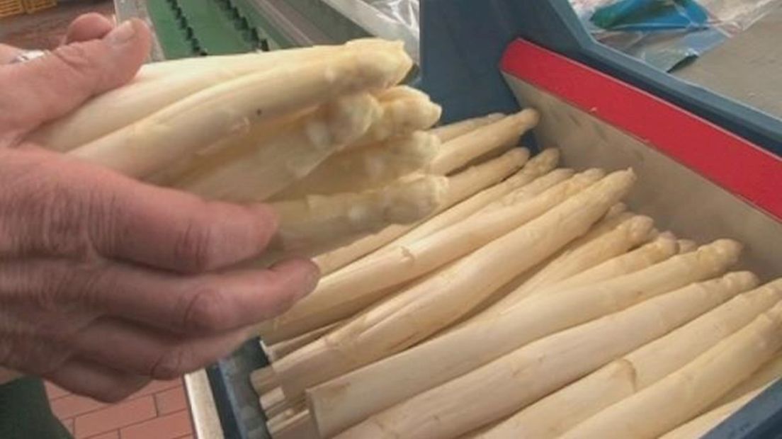 Asperges