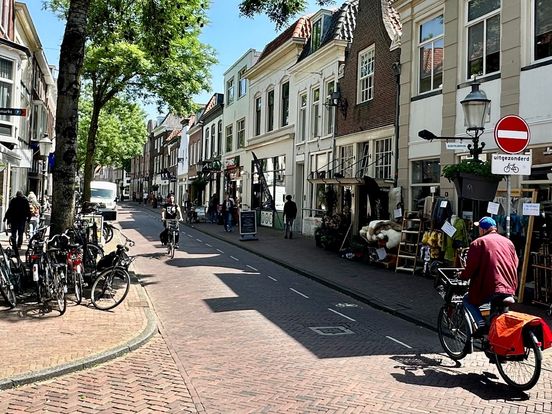 De Kamp kan gezelliger en 'kneuteriger', maar dan wel echt autoluw