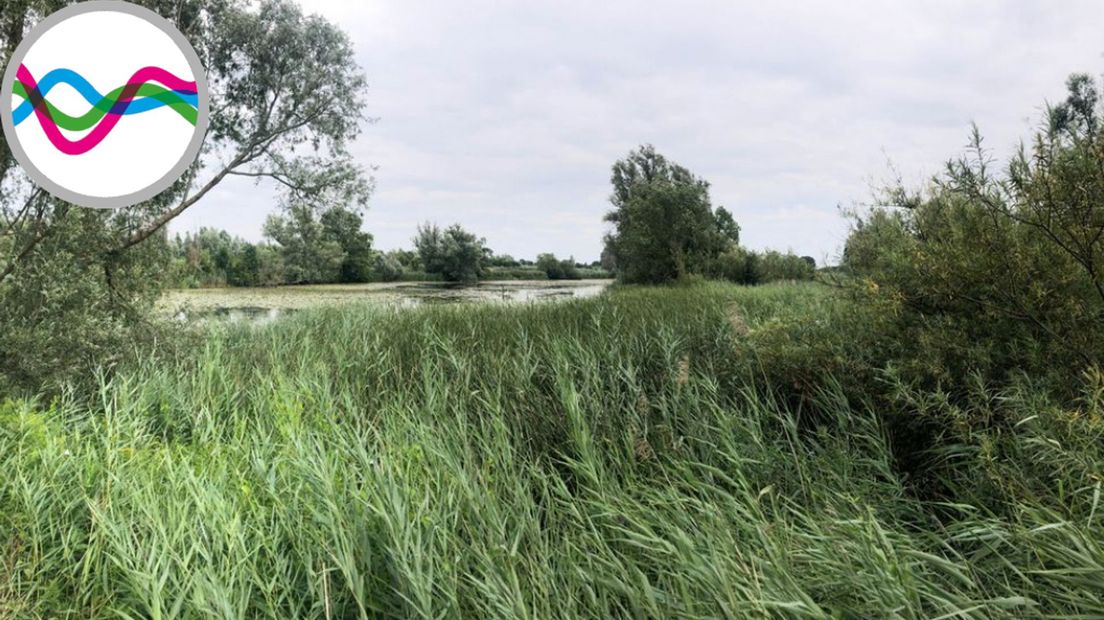 De Ooijse Graaf