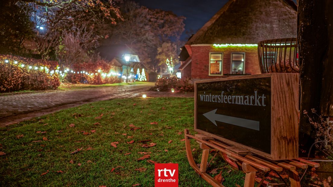 Gees in wintersfeer (Rechten: Kim Stellingwerf)