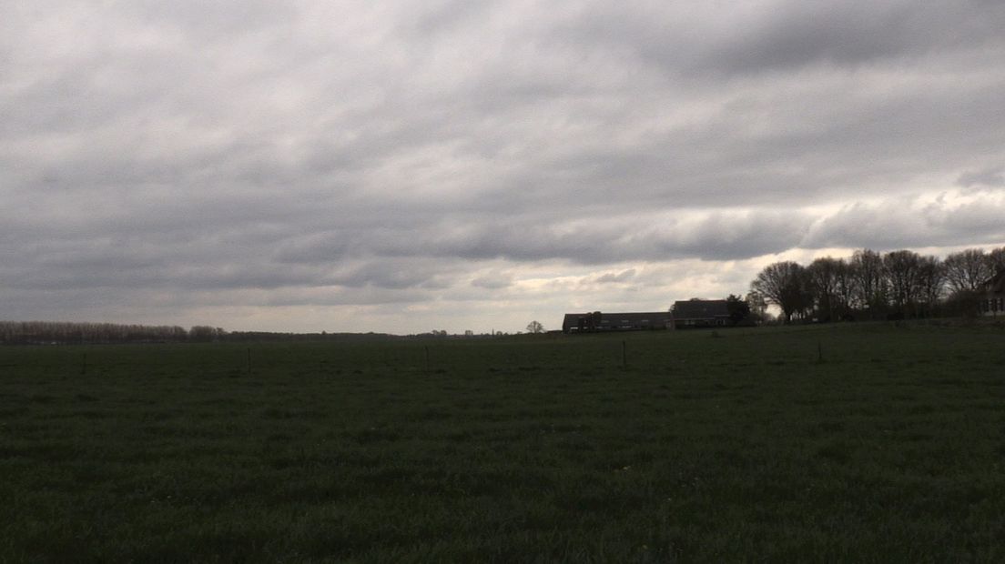 Mogelijk veen in de grond van Daarle