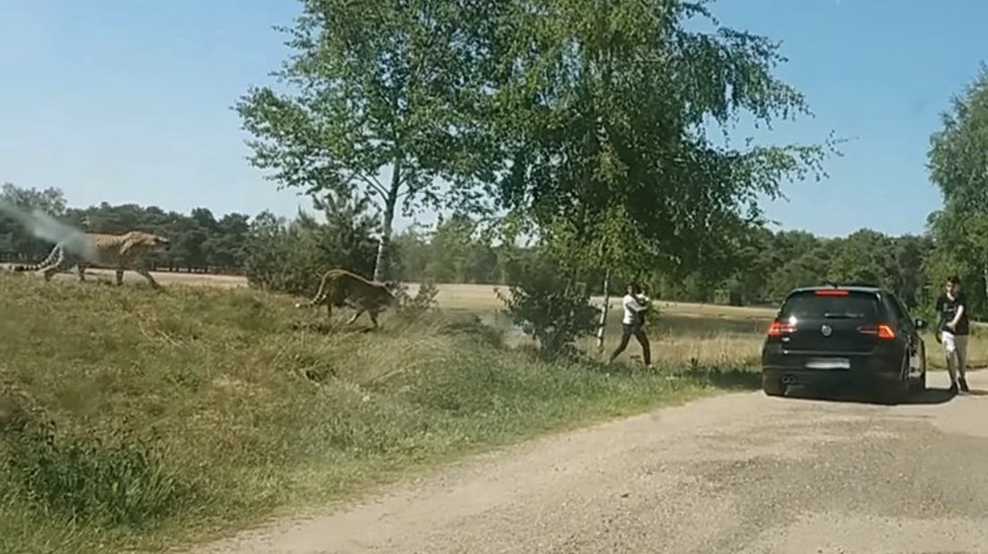 Sceenshot uit video van aanval in Beekse Bergen