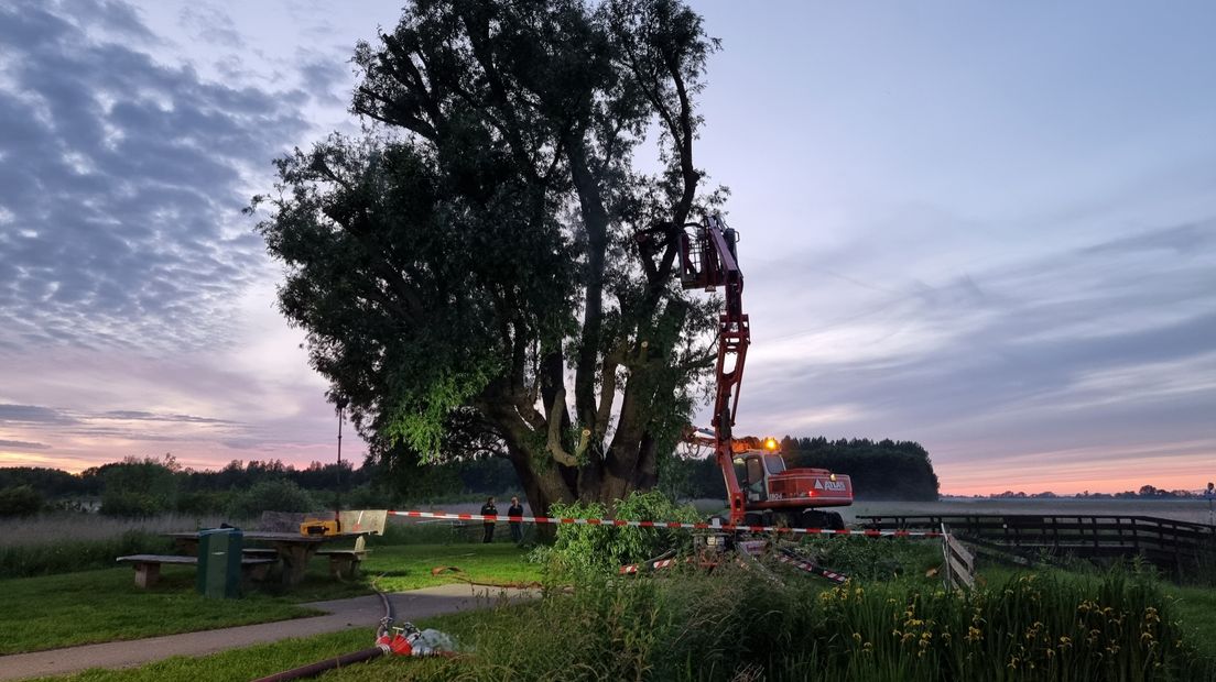 De boom wordt grotendeels ontmanteld