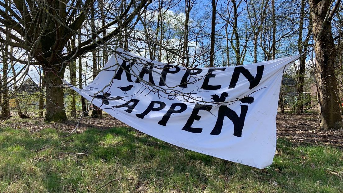 bomenkap nooitgedacht