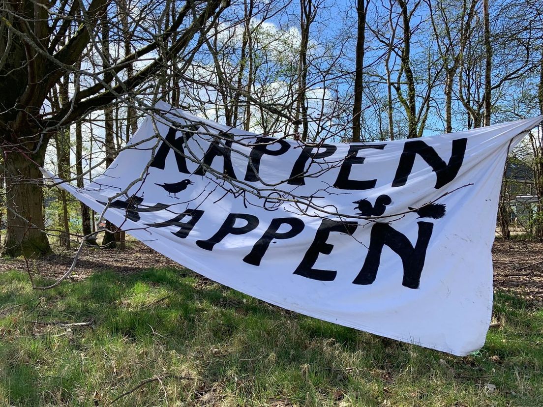 bomenkap nooitgedacht