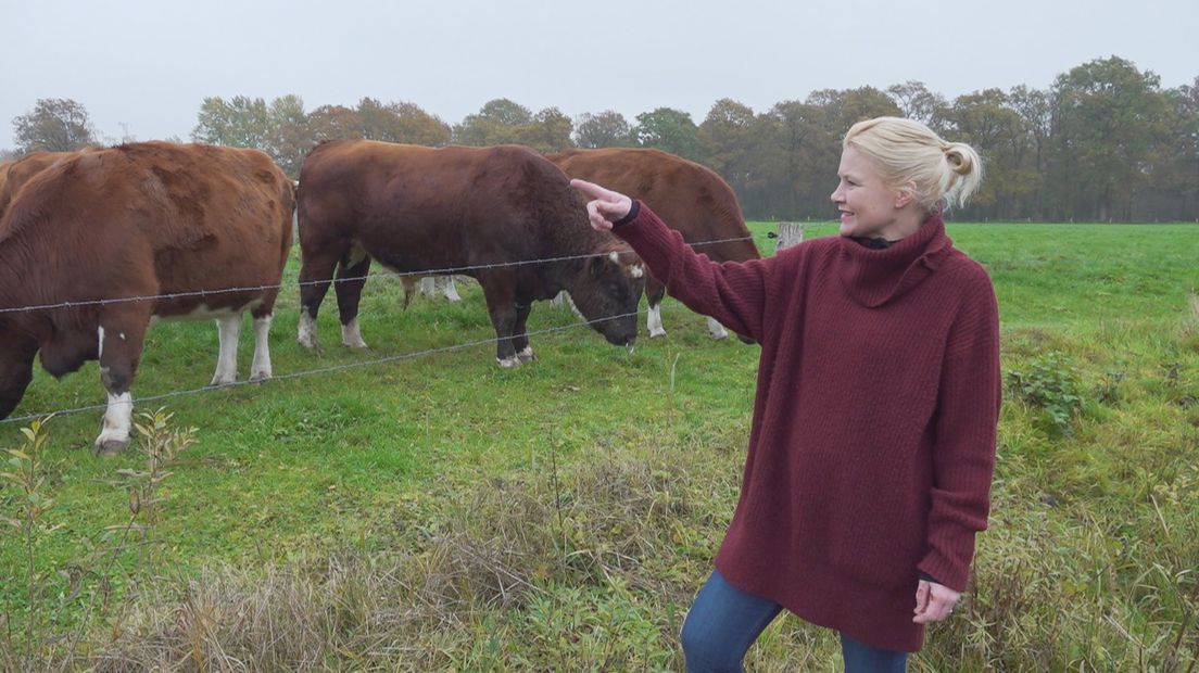 Annette van Gaalen wijst trots naar haar koeien