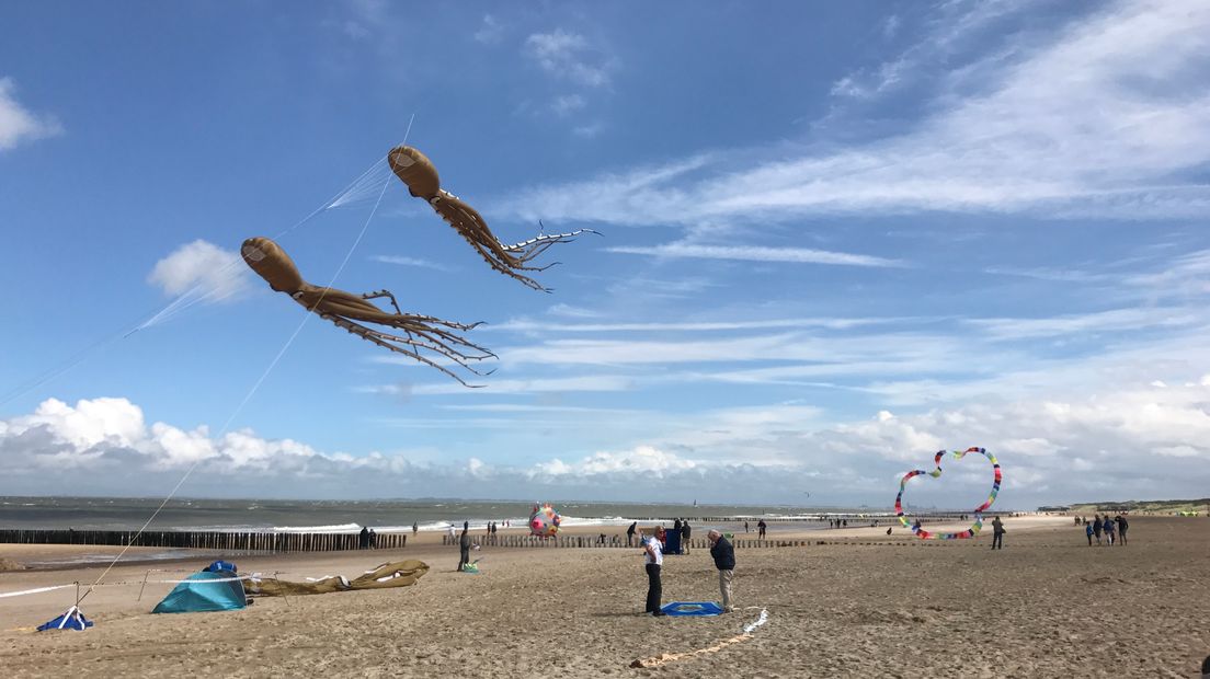 Deze vliegers konden, ondanks de sterke wind, wel de lucht in