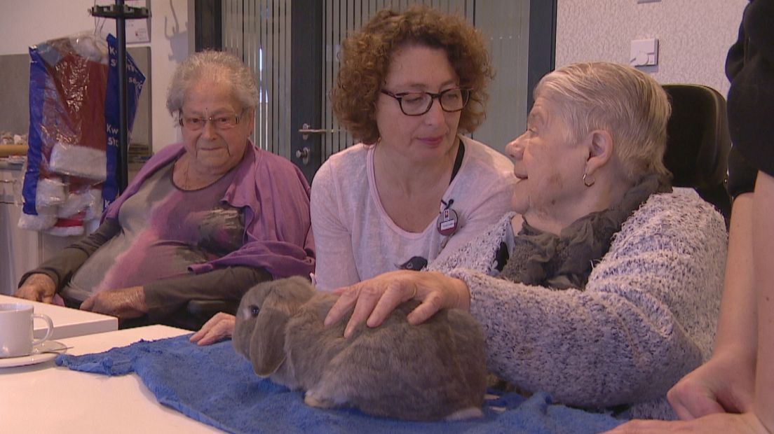 Ouderen genieten van dierenbezoek