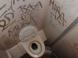 Tientallen keren vandalisme in trein Enschede-Zwolle: "Reizigers spoelen shoarma door toilet"