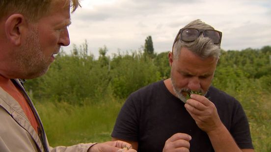 Edwin plukt zijn eten in de natuur