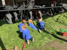 Een kinderopvang op de boerderij biedt kansen voor agrariërs in de regio