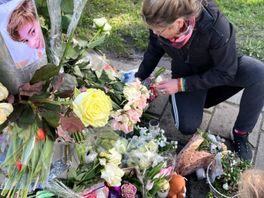 Tientallen meldingen over fatale kruising Nino (12): 'Jullie hebben kop in het zand gestoken'