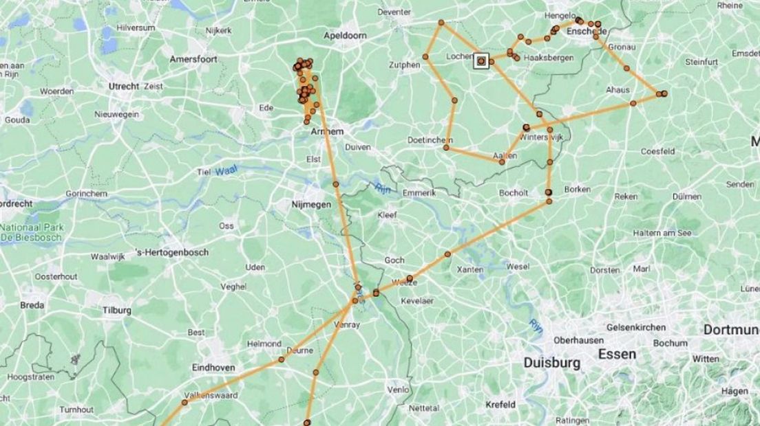 De route die Eglazine aflegde sinds haar vertrek van de Hoge Veluwe.
