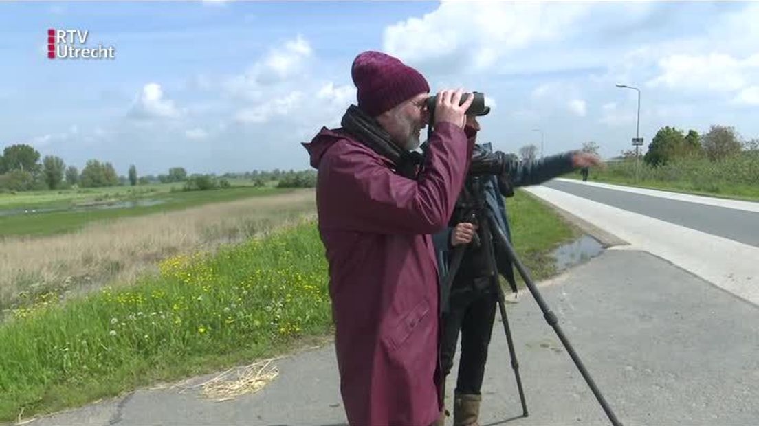 Natuurlijk Zoëy