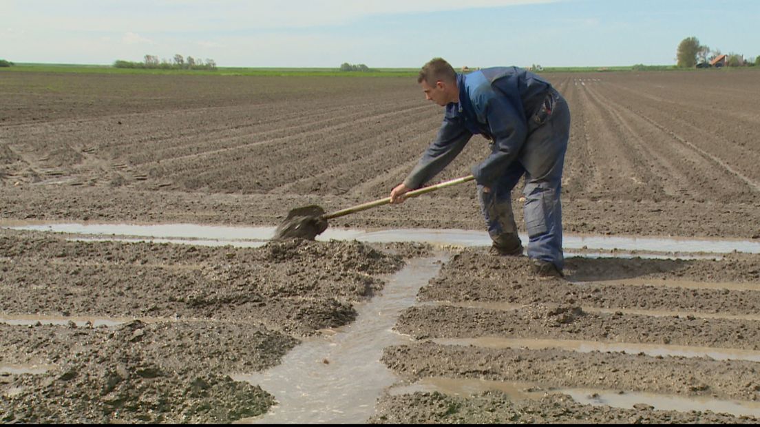 Boeren graven hun akkers droog, 'Daar gaan we weer'