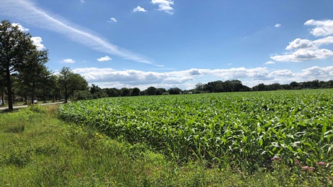 Tuunterveld.