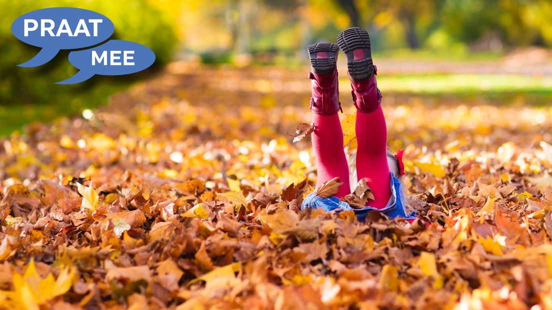 Hoera, het is herfstvakantie!