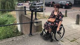 Problemen met wc en ov: helft gehandicapten kan niet meedoen
