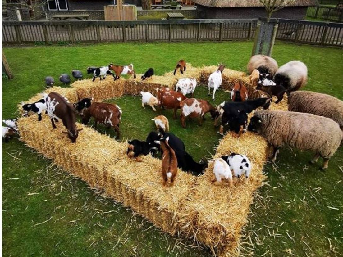 Kinderboerderij De Kraal in Rotterdam-Kralingen steunt de zorg