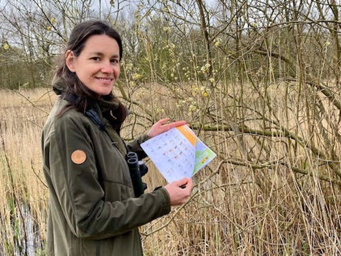 Boswachter Mirjam Eikelenboom met bijentelformulier in de aanslag bij de wilgenkatjes