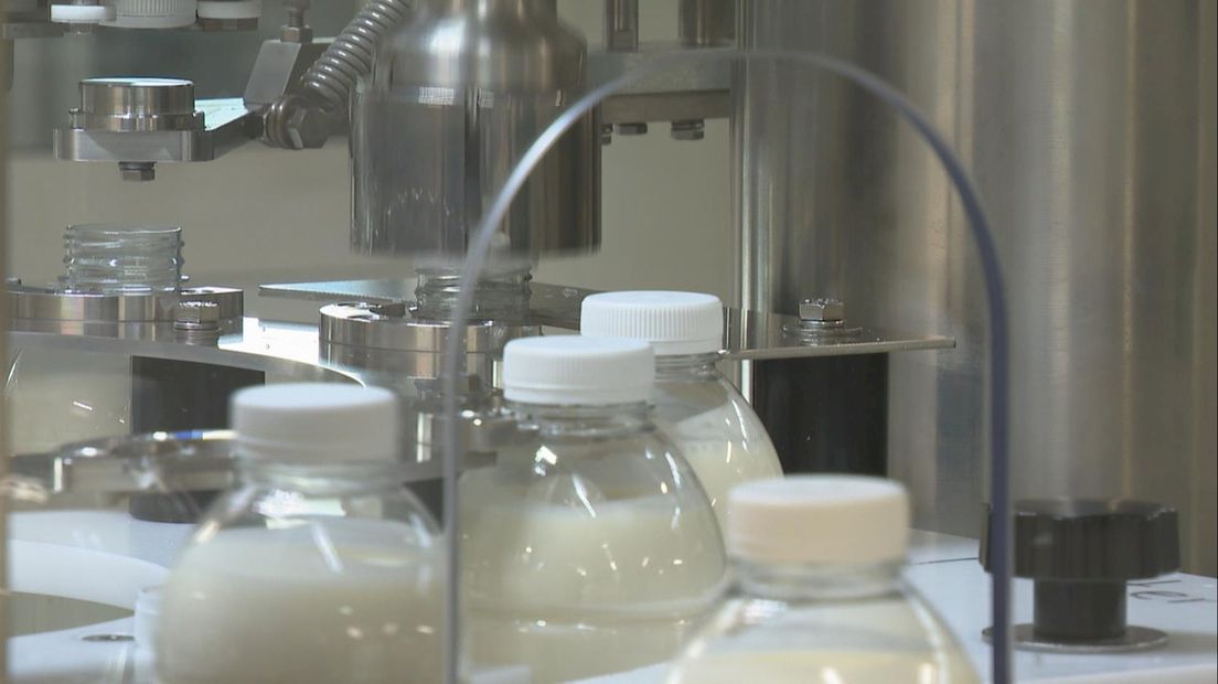 De productie van rauwmelkse kefir