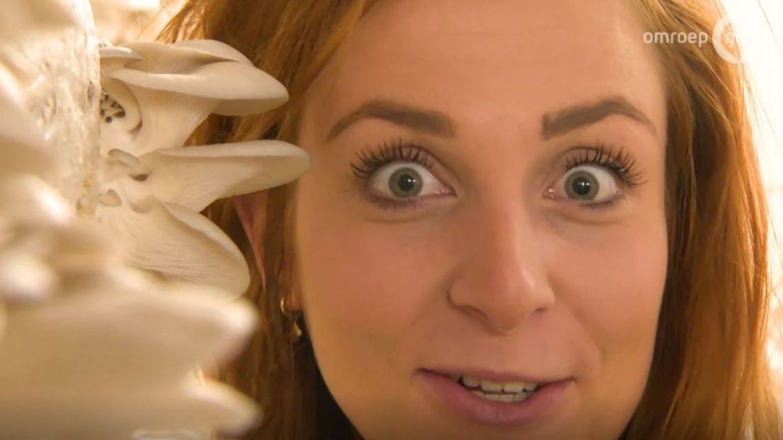 Lisanne duikt in de mysterieuze wereld van de oesterzwammen.