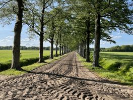 Gemeente Westerveld voerde boomcontroles niet uit en trekt portemonnee voor onderhoud