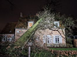 112 Nieuws: Boom valt op woning in Hengelo