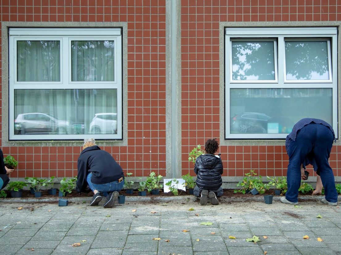 Tegels maken plaats voor plantjes