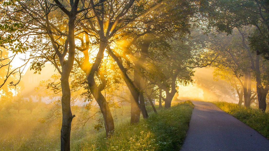 Gouden zon komt op, 17 mei 2020.