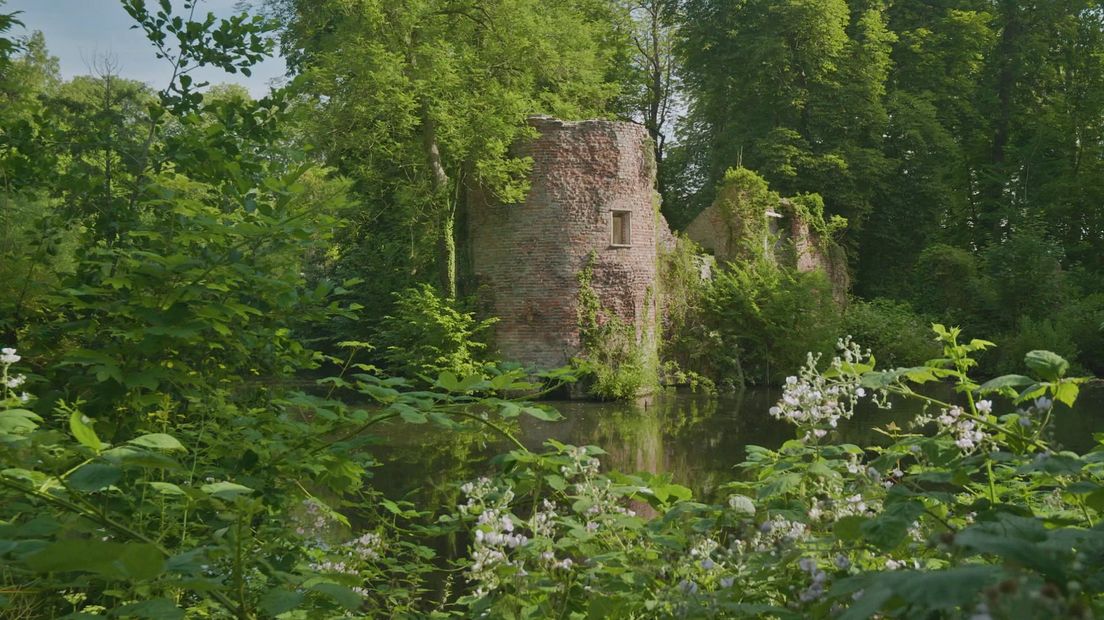 De Schatkist van Gelderland - Een romantische ruïne in Brakel
