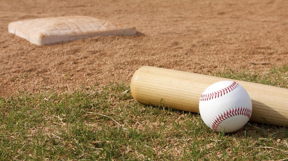 Chihuahua overleden na homerun