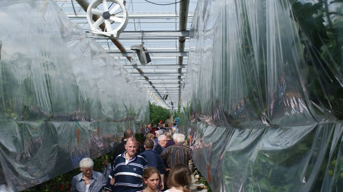 Kom in de Kas