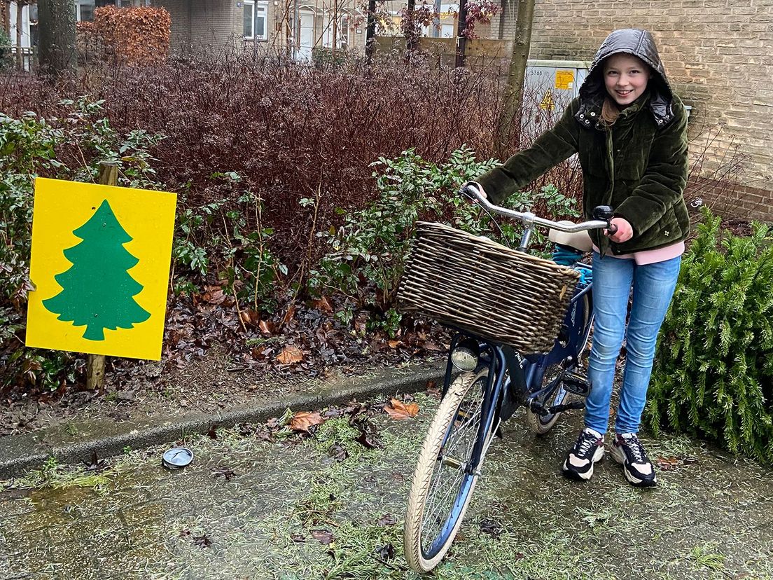 Since the turn of the year, Florine has been dragging a Christmas tree behind her bicycle almost every day to the municipality's designated collection point.