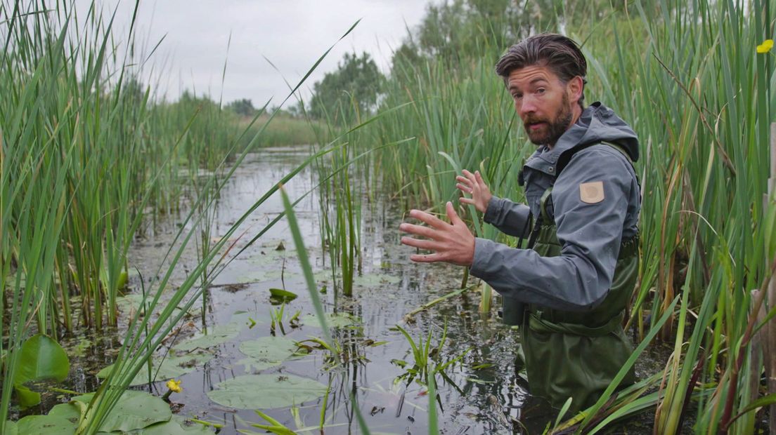 BuitenGewoon - Natuur in de Hollandse delta