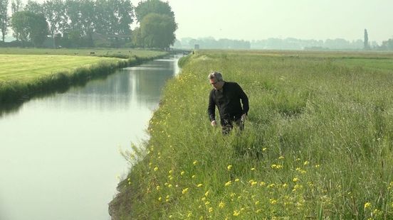 Stikstof? Waterkwaliteit wordt een veel groter probleem