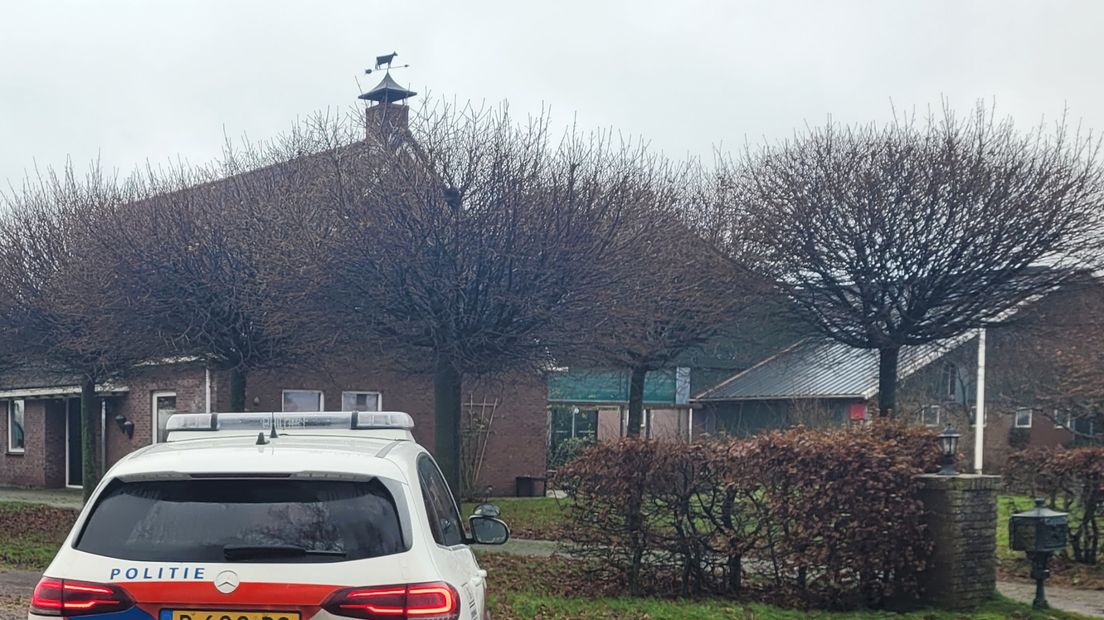 In Peest zijn koeien door een rooster gezakt en in de mestkelder beland