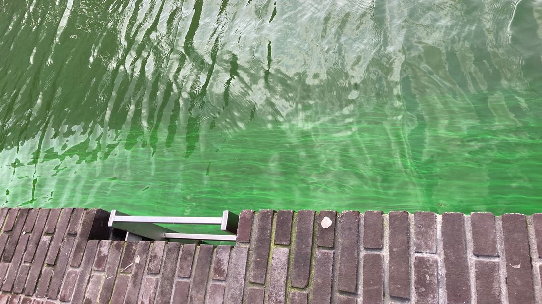 De actievoerders kleurden een klein deel van de singel groen met een kleurstof.