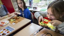 Gezondheidseconoom Mierau: 'Geef gewoon alle kinderen eten en niet alleen op achterstandsscholen'